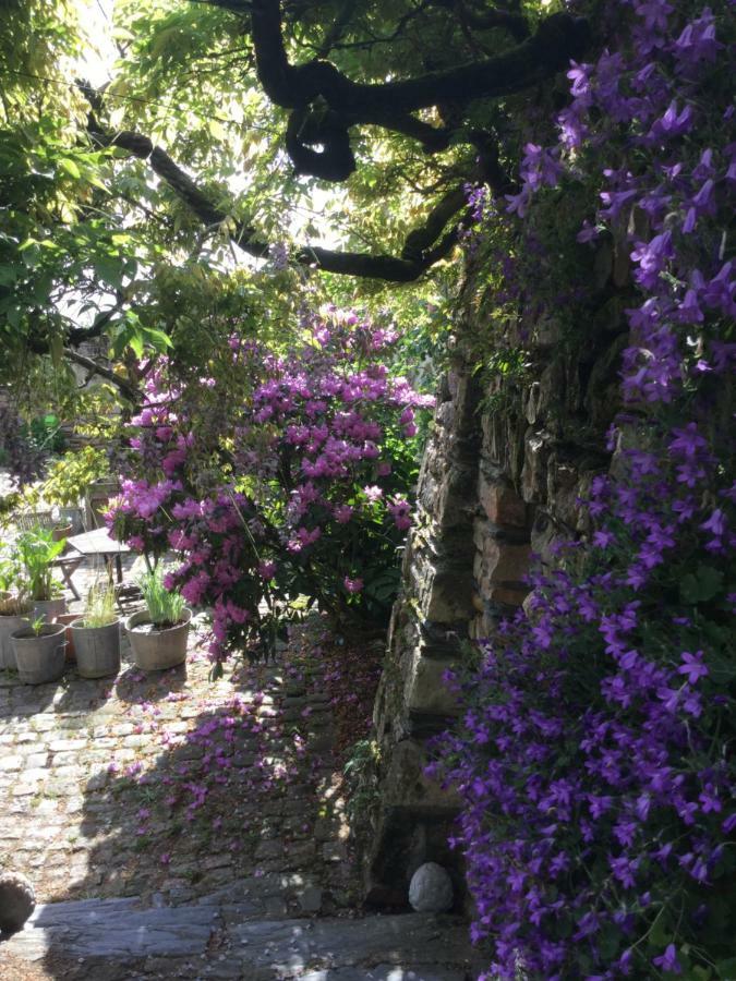 Manoir De La Groye 호텔 Saint-Saturnin-sur-Loire 외부 사진