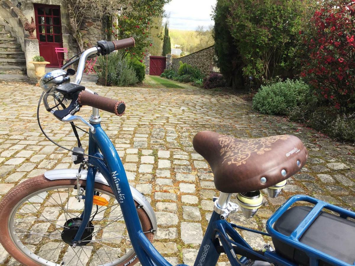 Manoir De La Groye 호텔 Saint-Saturnin-sur-Loire 외부 사진
